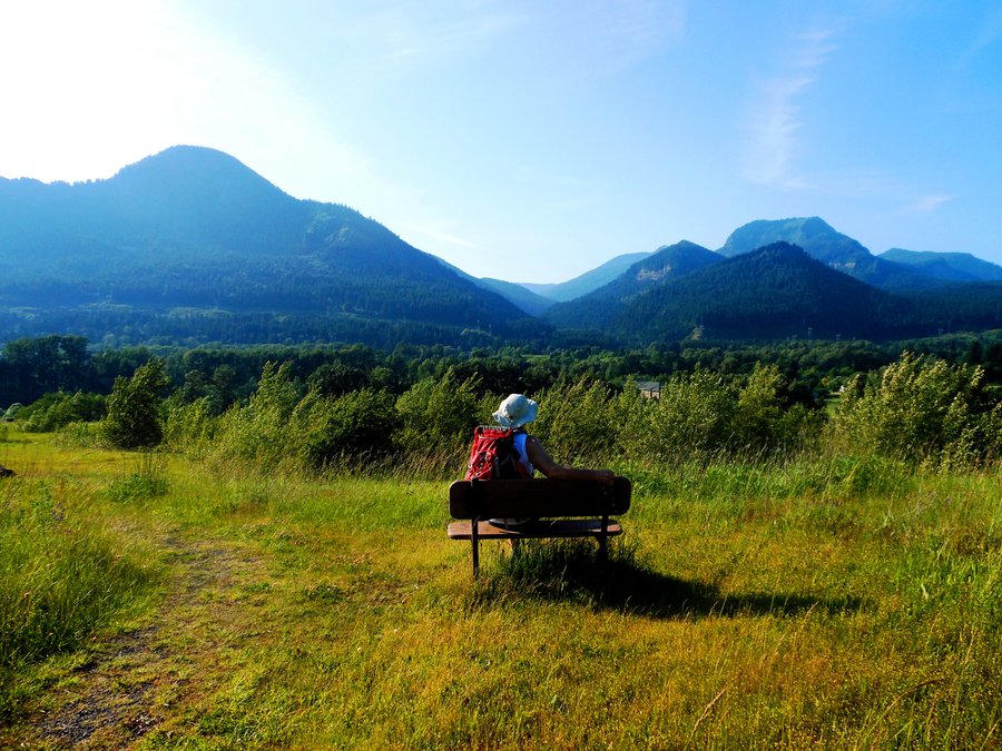 Photo from Strawberry Island Loop