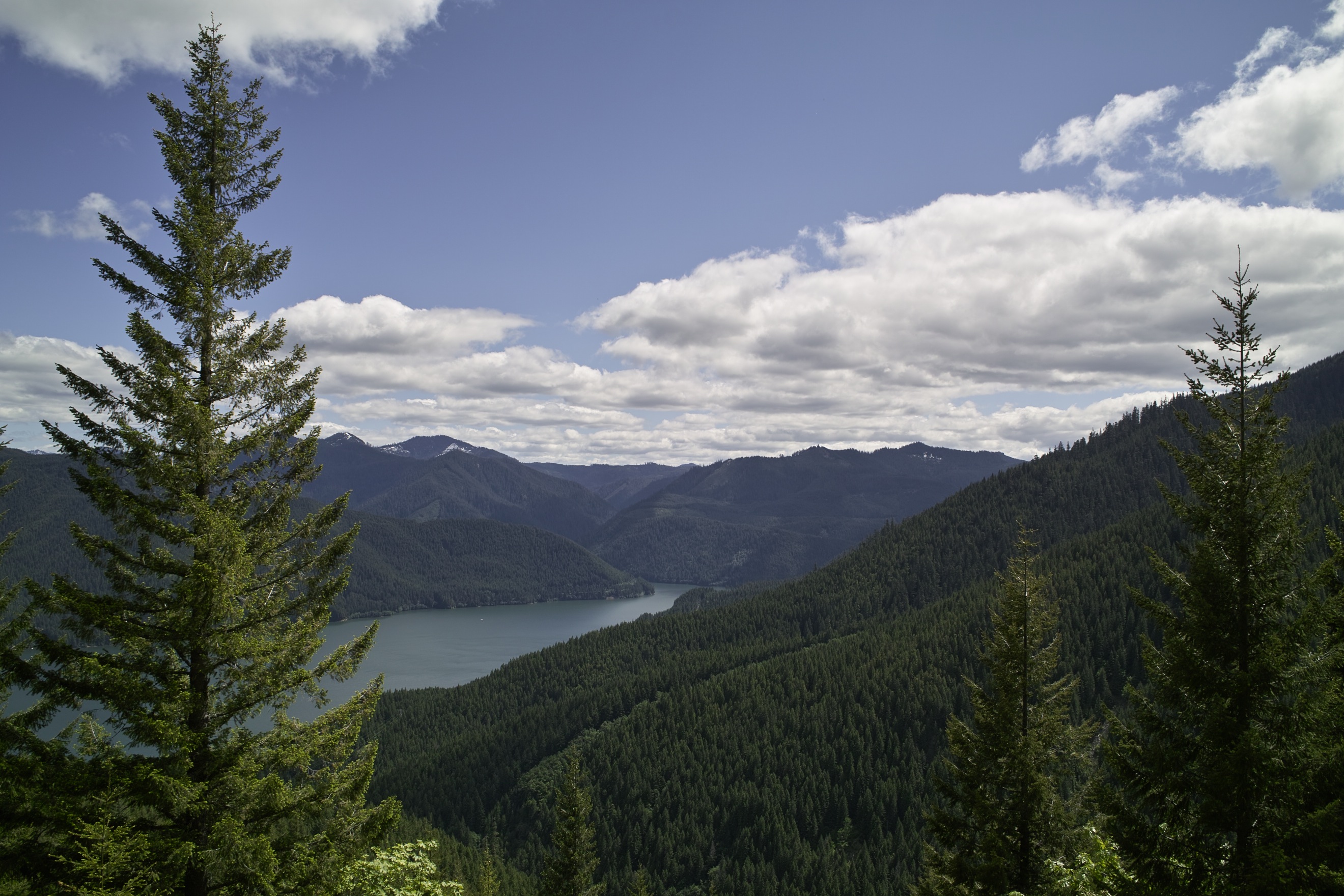 View from the ridge above Tumble Creek.