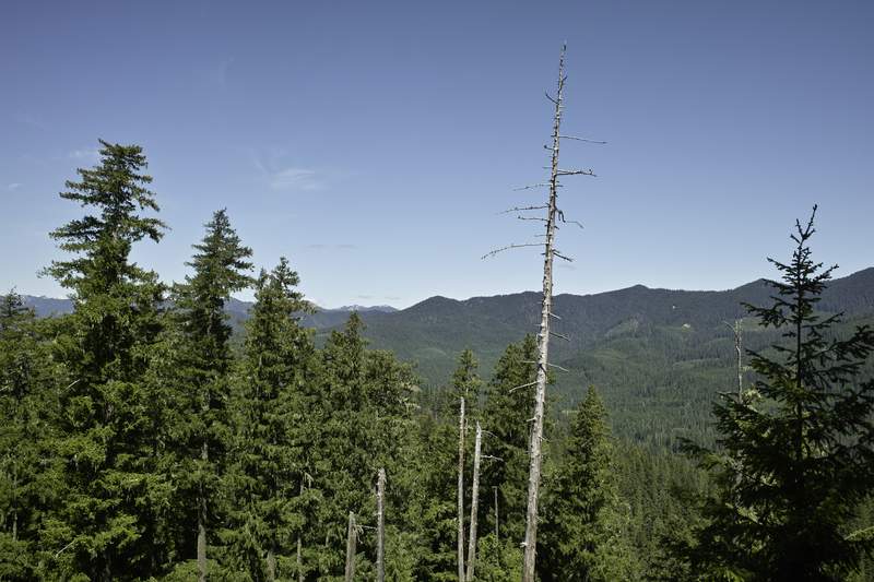 One of the lesser views from Devils Ridge - I'm sure they get better as you head up farther.