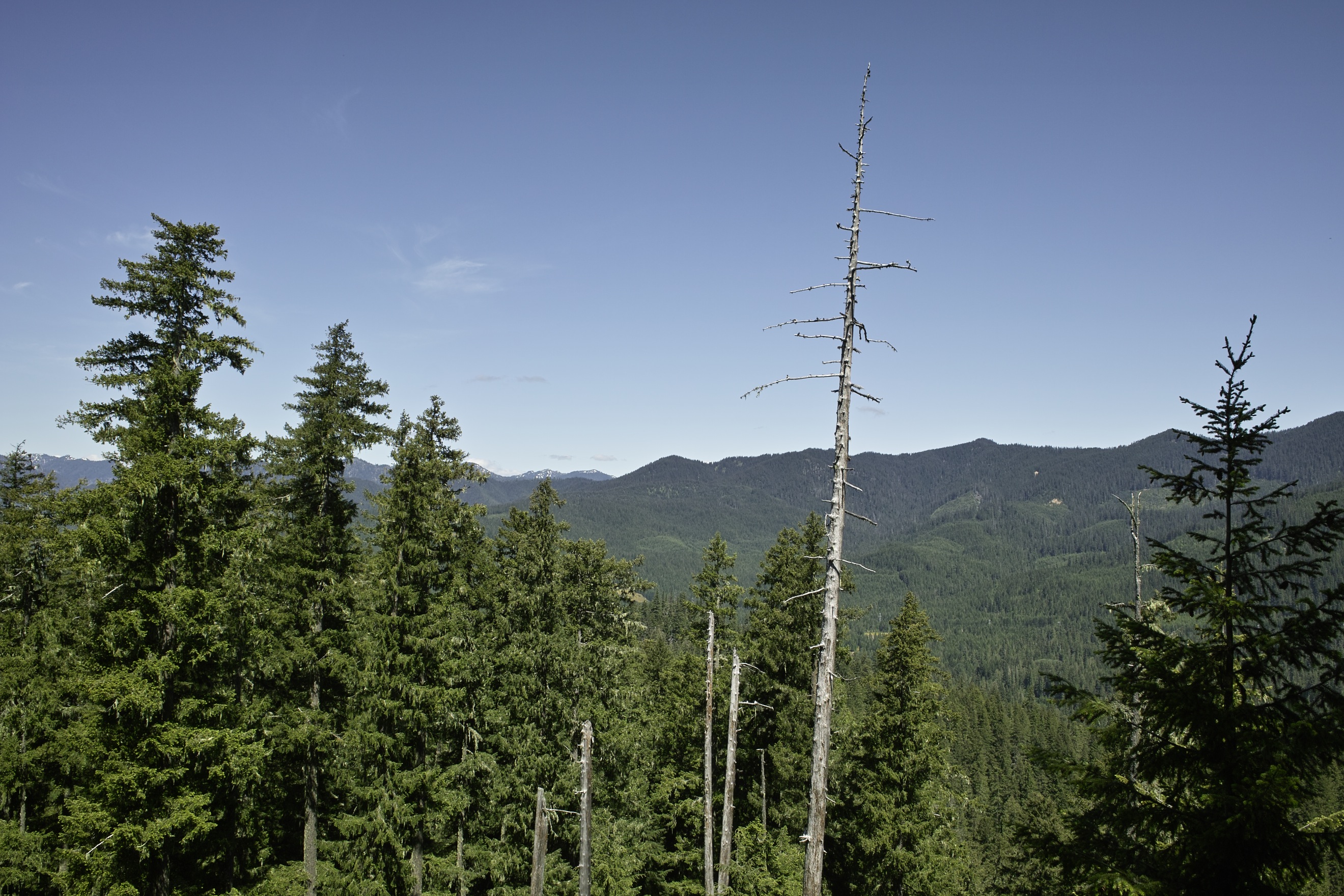 One of the lesser views from Devils Ridge - I'm sure they get better as you head up farther.