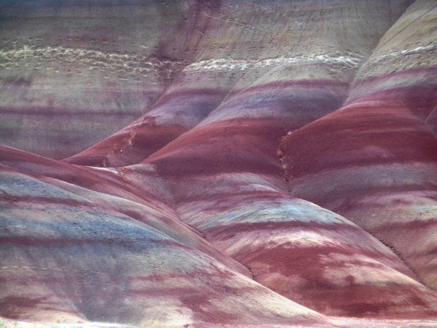 Photo from Painted Hills Exploration