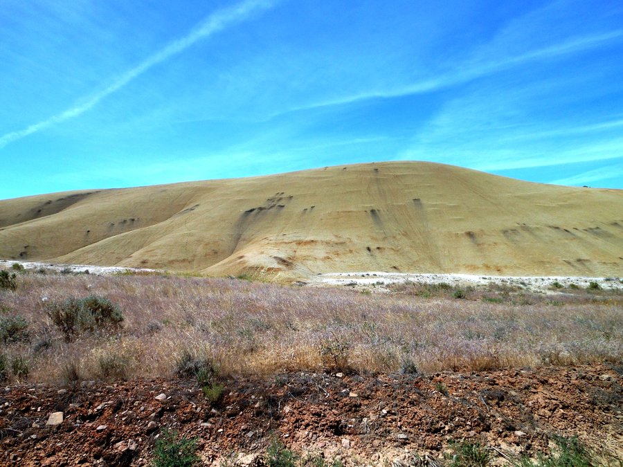 Photo from Painted Hills Exploration