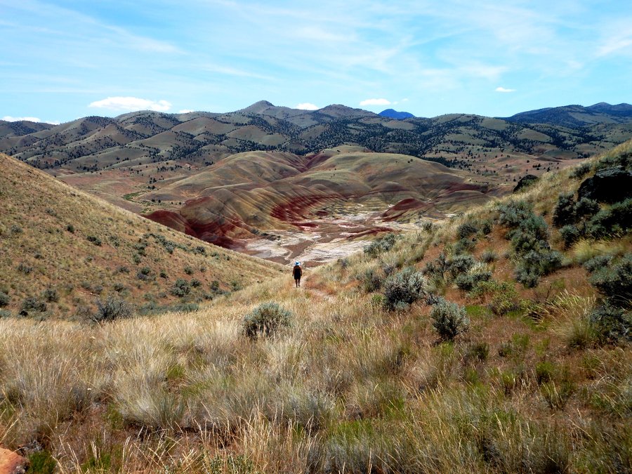 Photo from Painted Hills Exploration