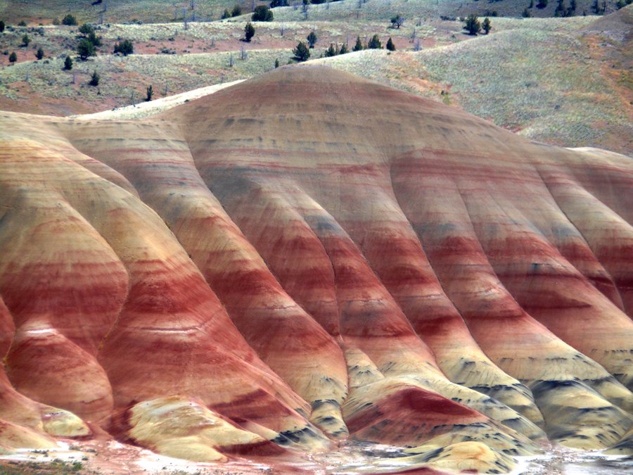 Photo from Painted Hills Exploration