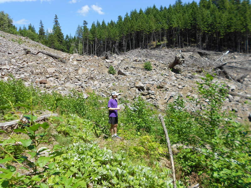 Greenleaf slide area, first time for me, wow!
