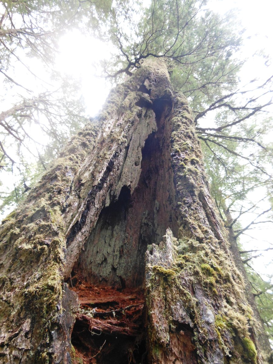 Photo from Sherrard Point / Franklin Ridge Loop (or, why gyms suck and hiking RAWKS!)