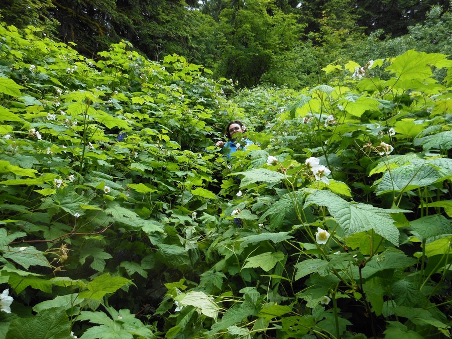 Photo from Sherrard Point / Franklin Ridge Loop (or, why gyms suck and hiking RAWKS!)