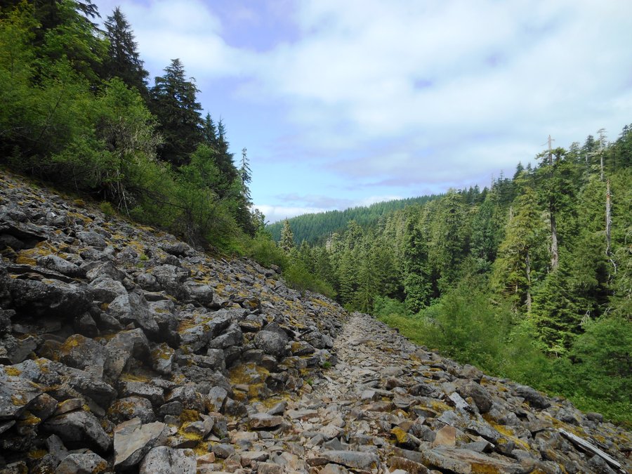 Photo from Sherrard Point / Franklin Ridge Loop (or, why gyms suck and hiking RAWKS!)