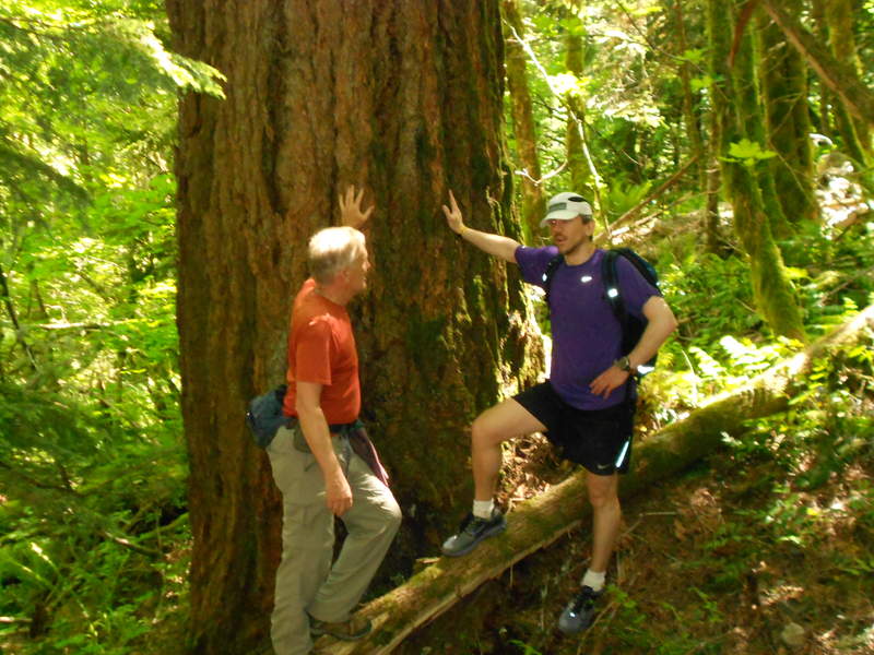 Another Father/Son shot also HUGE tree