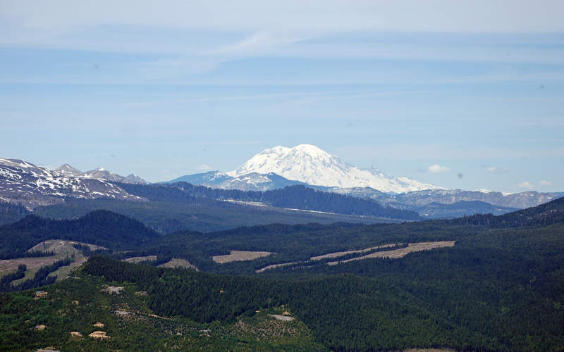Rainier