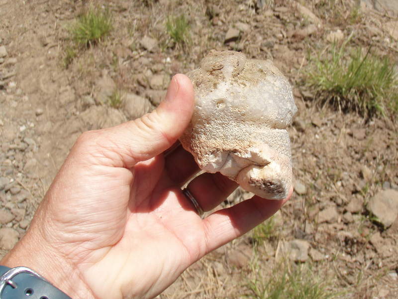 big agate