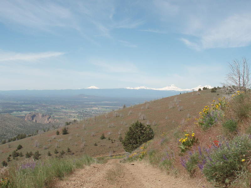 View along the way