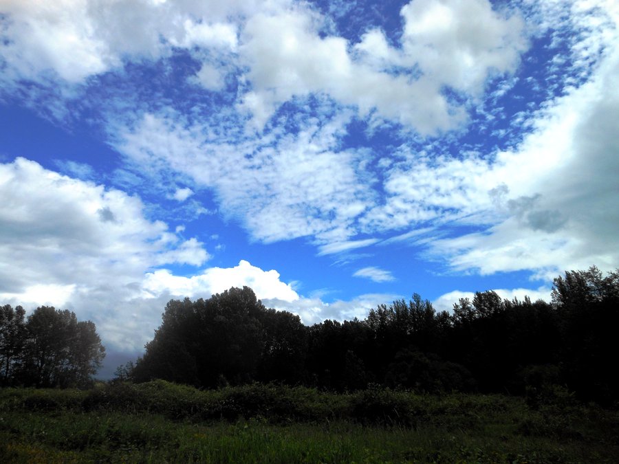Photo from Sandy River Delta