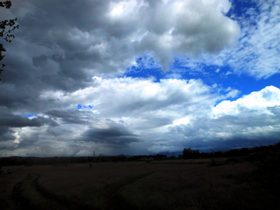 Photo from Sandy River Delta