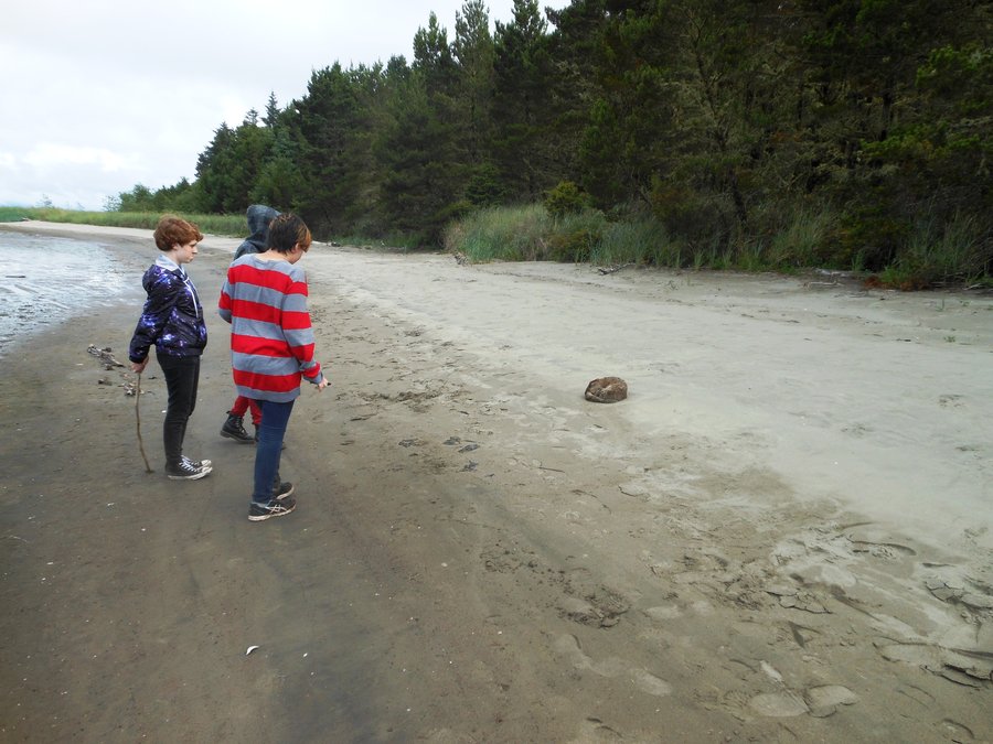 Photo from Leadbetter Point, Long Beach WA