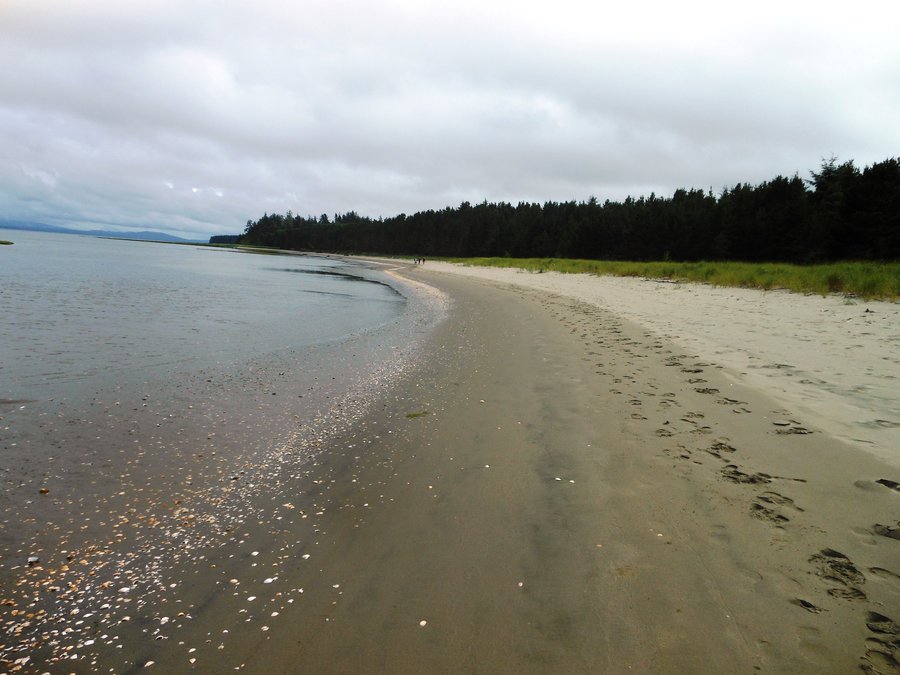 Photo from Leadbetter Point, Long Beach WA