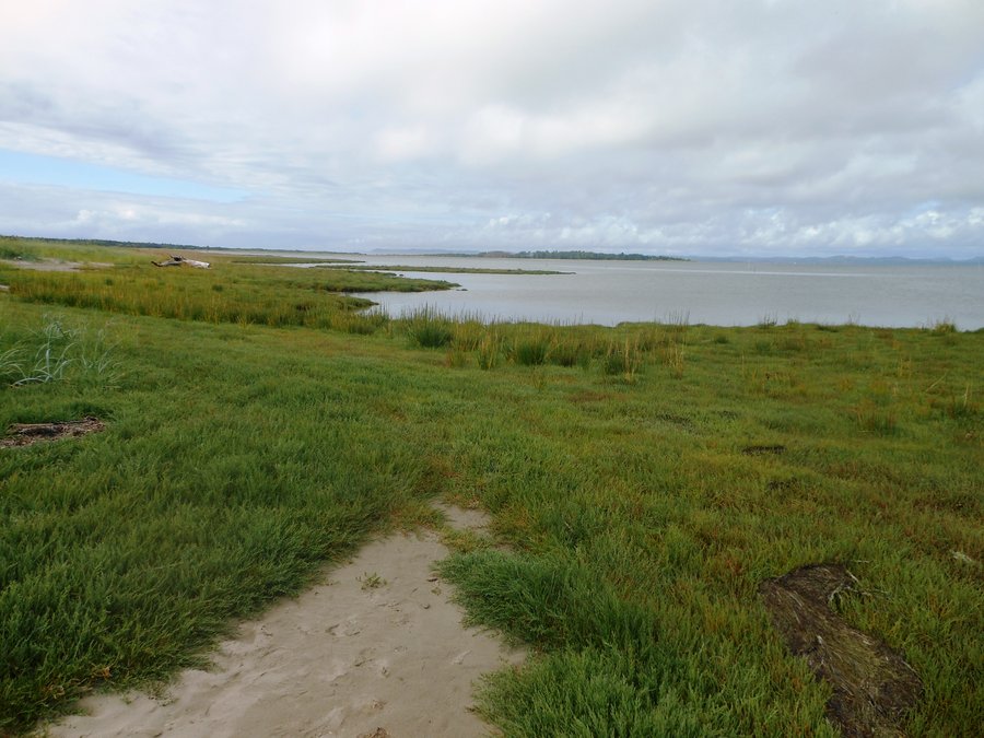 Photo from Leadbetter Point, Long Beach WA