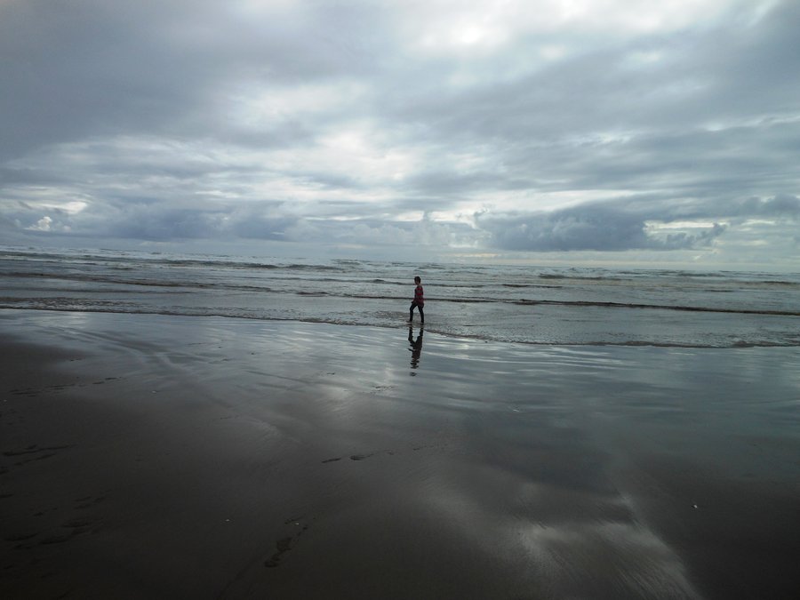 Photo from Leadbetter Point, Long Beach WA