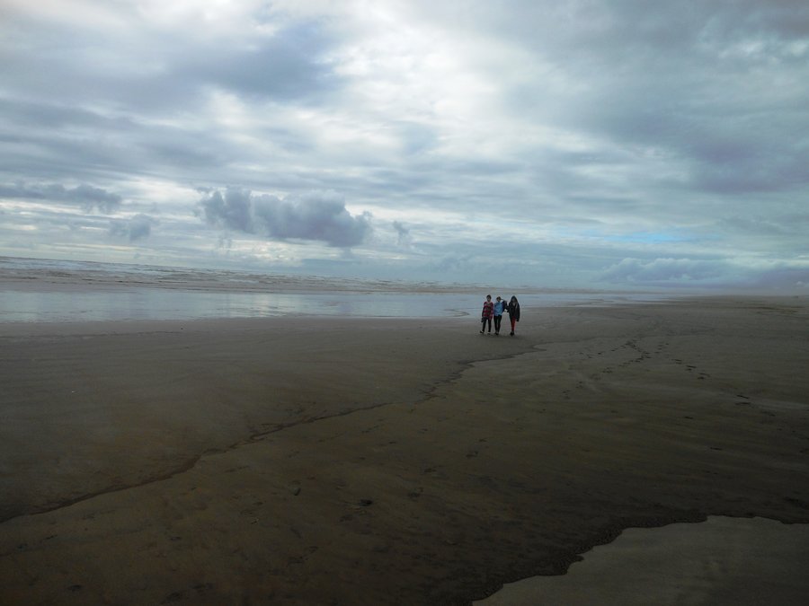Photo from Leadbetter Point, Long Beach WA