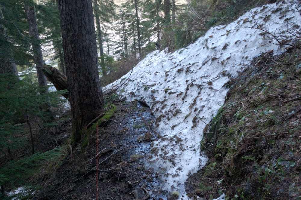 The trail just above Blue Lake