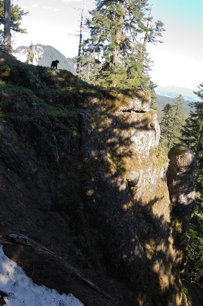 I hoped to see St. Helens from that rock spire but the views were so so. I noticed that the actual summit is really close and decided to check it out up
