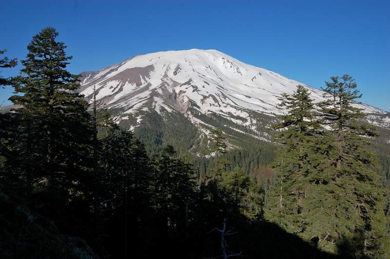 St Helens