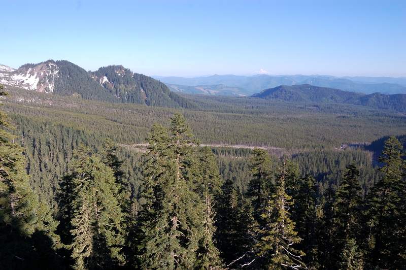 View south