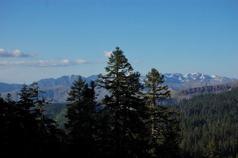 Partly obscured view to the east