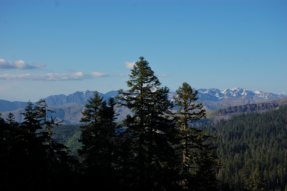 Partly obscured view to the east