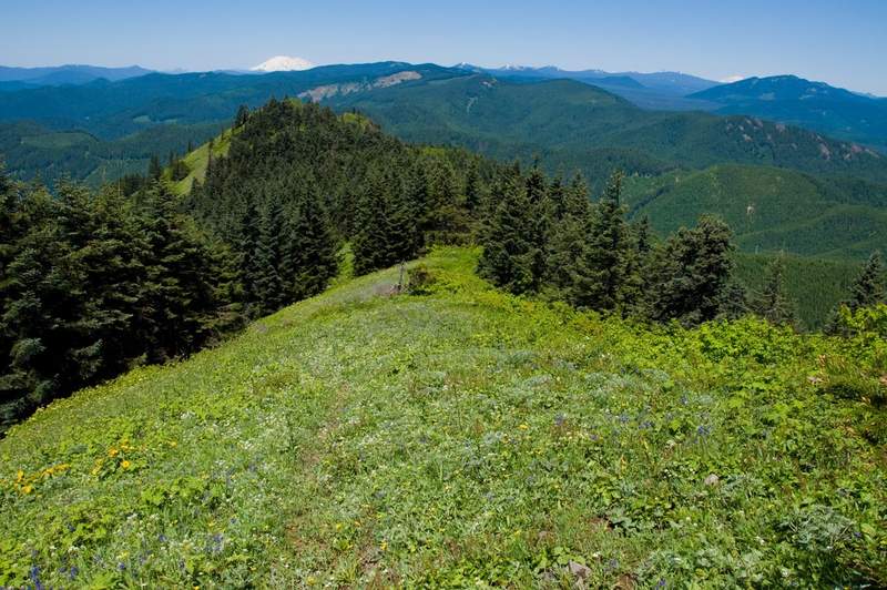 The ridge past the summit.