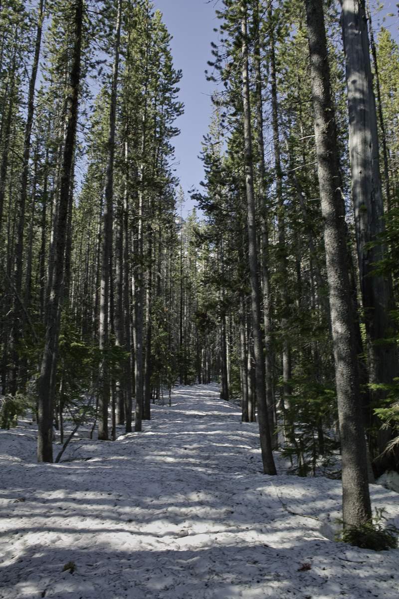 Trail to the falls.