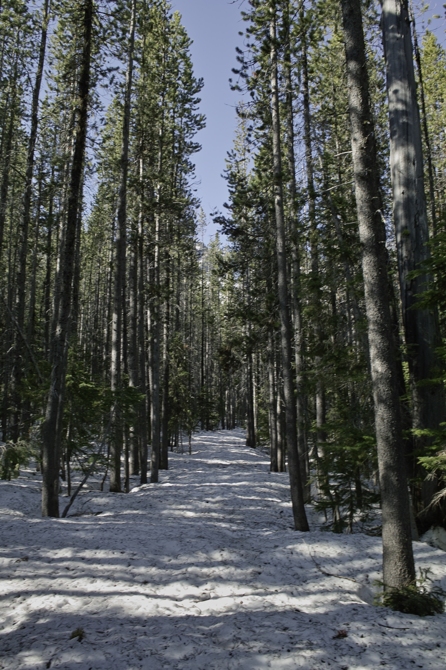 Trail to the falls.