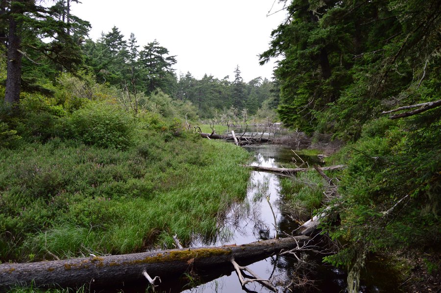 Photo from South Beach State Park Exploration