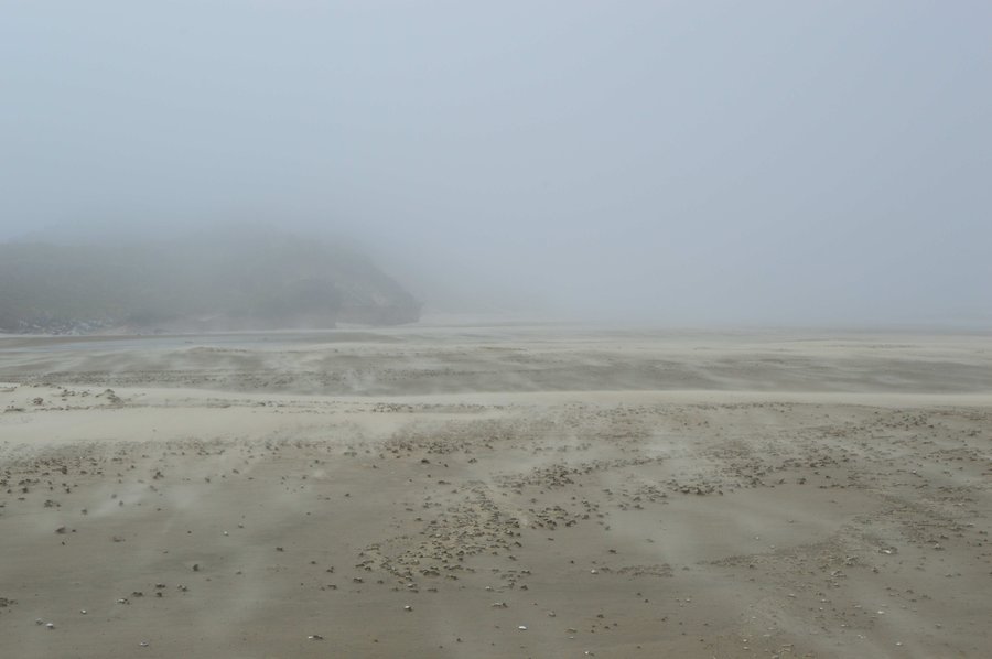 Photo from Haceta Head loop from Washburn State Park