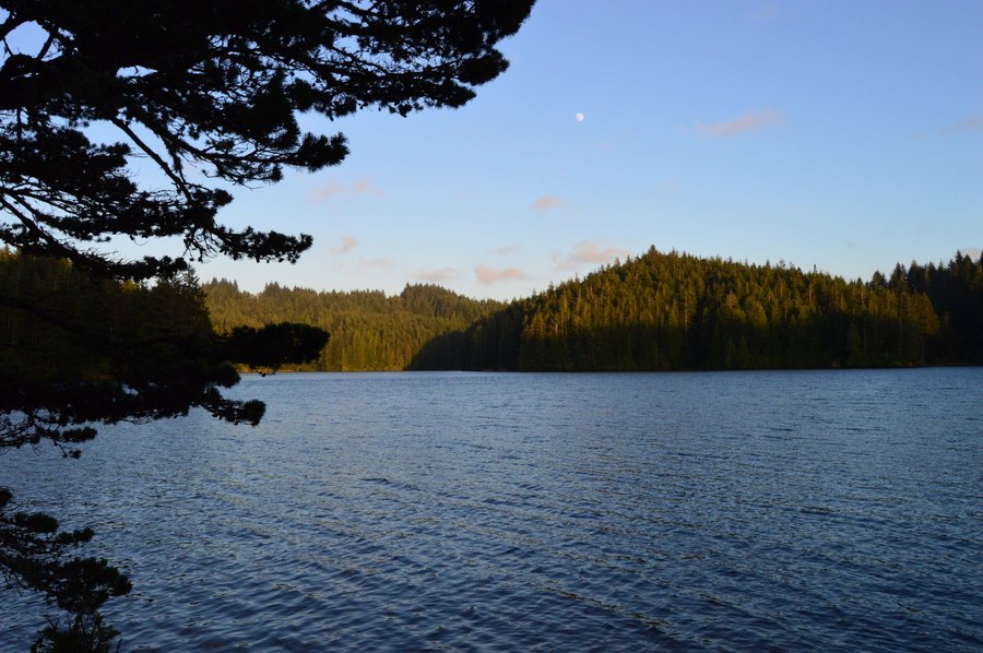Photo from Eel Lake West Trail out-and-back, at Tugman State Park