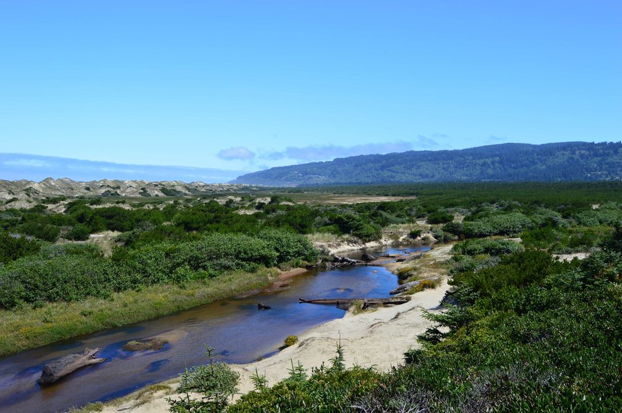 Photo from Sutton Creek