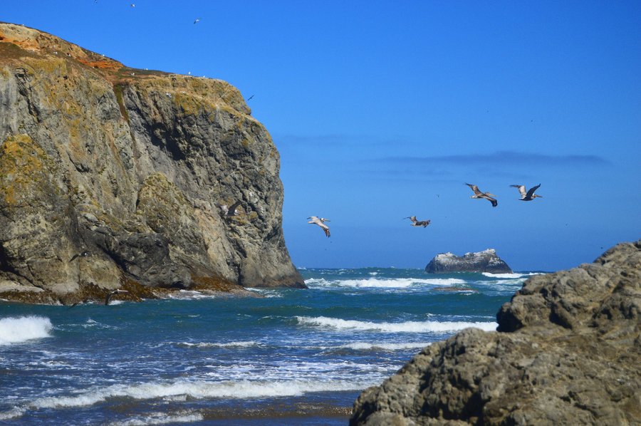 Photo from Bandon Islands Loop