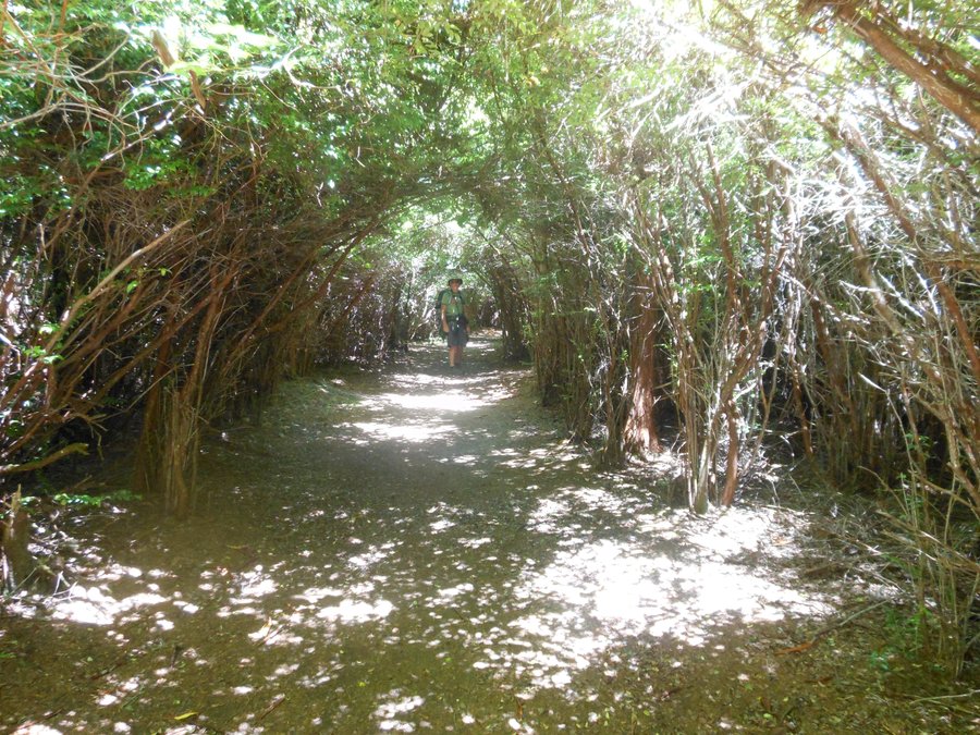 Photo from Coos Bay South Slough Estuary