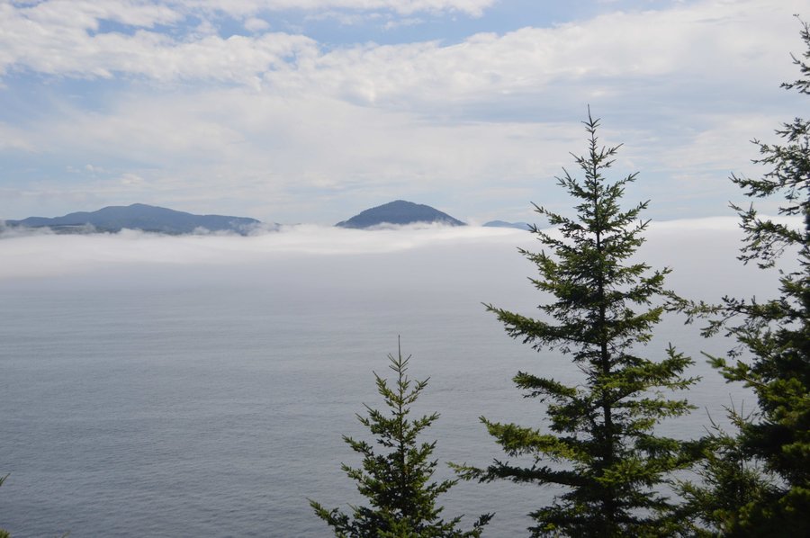 Photo from Port Orford Heads