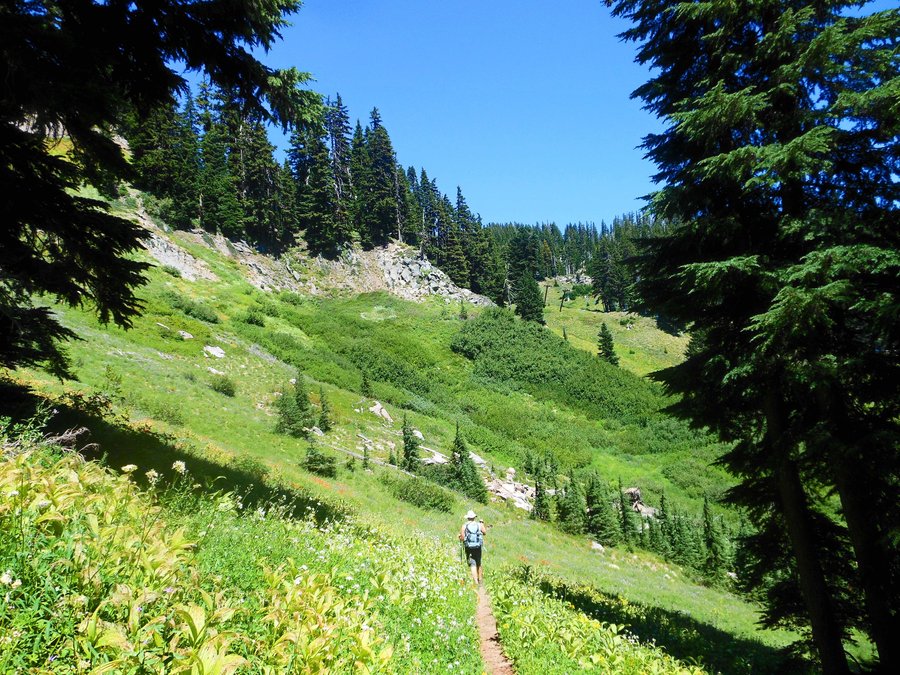 Photo from Hood River Meadows Loop