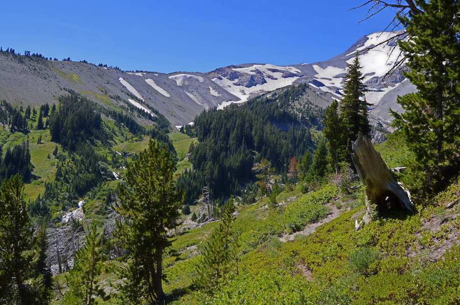 Photo from Hood River Meadows Loop