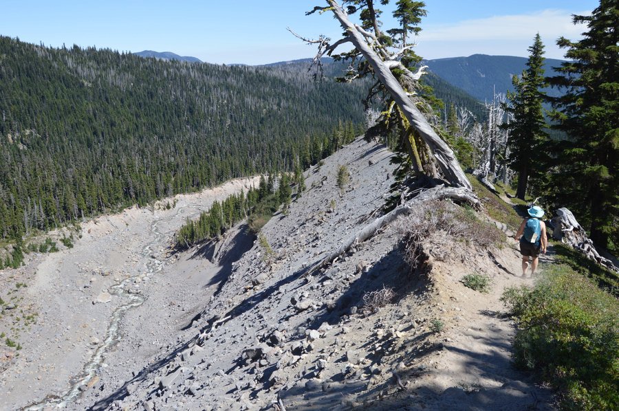 Photo from Hood River Meadows Loop