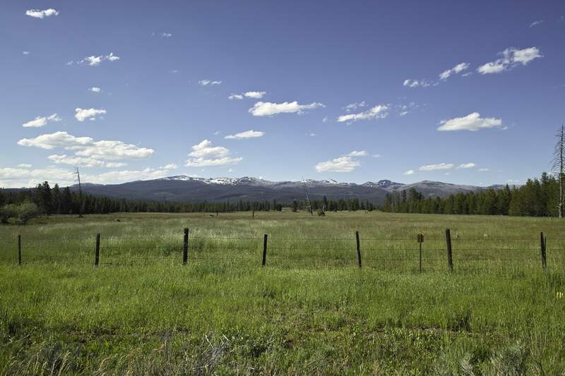 A view from the road.