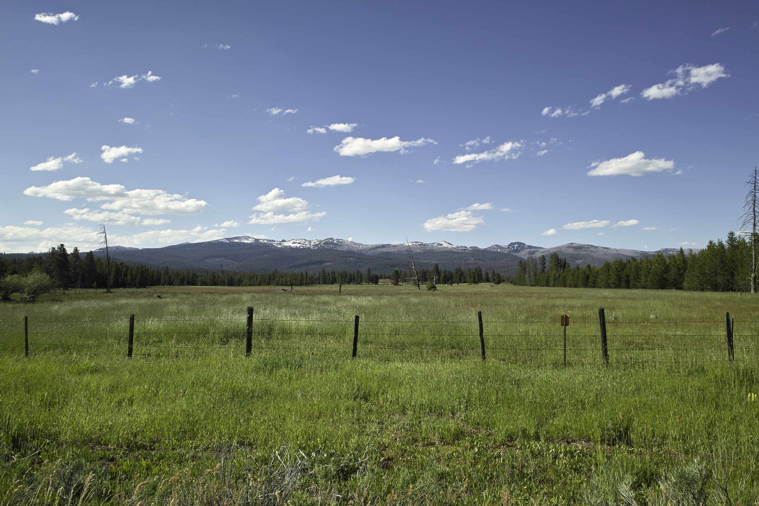 A view from the road.