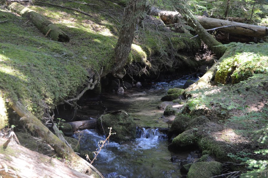 Photo from Top Spur Ramona Falls loop