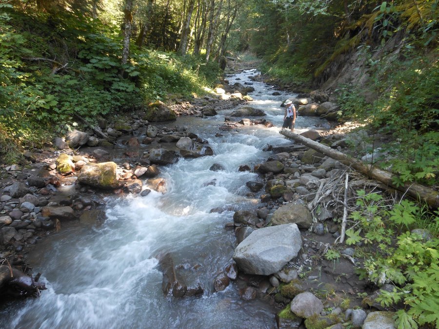 Photo from Top Spur Ramona Falls loop