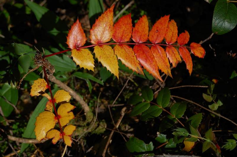 Fall is right around the corner!