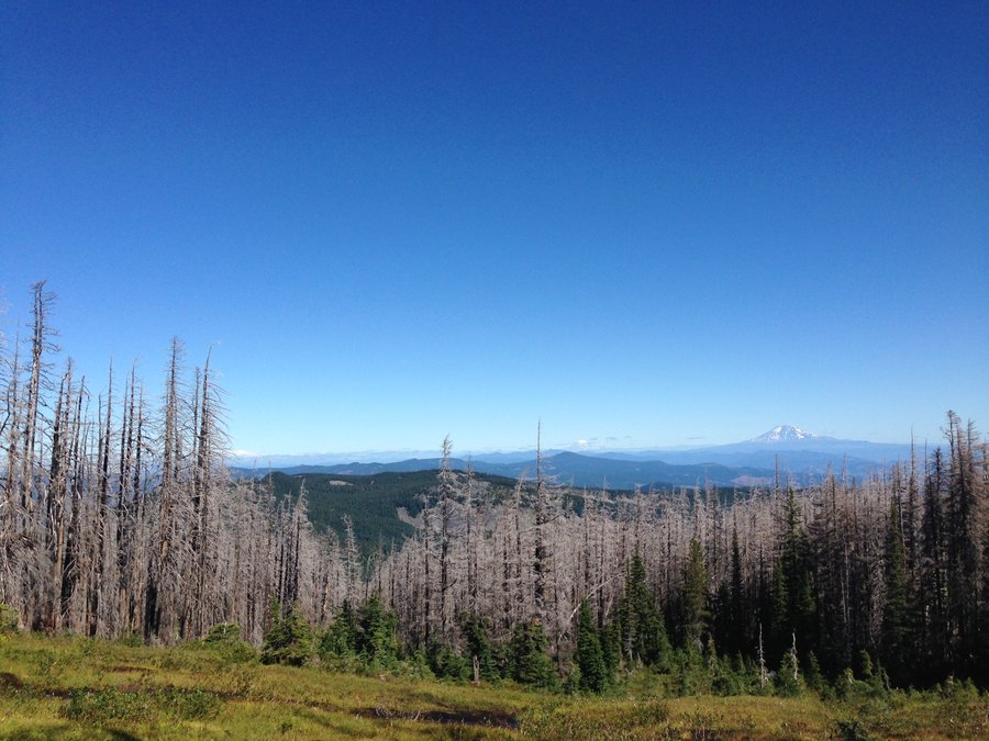 Photo from Elk Cove via Pinnacle Ridge