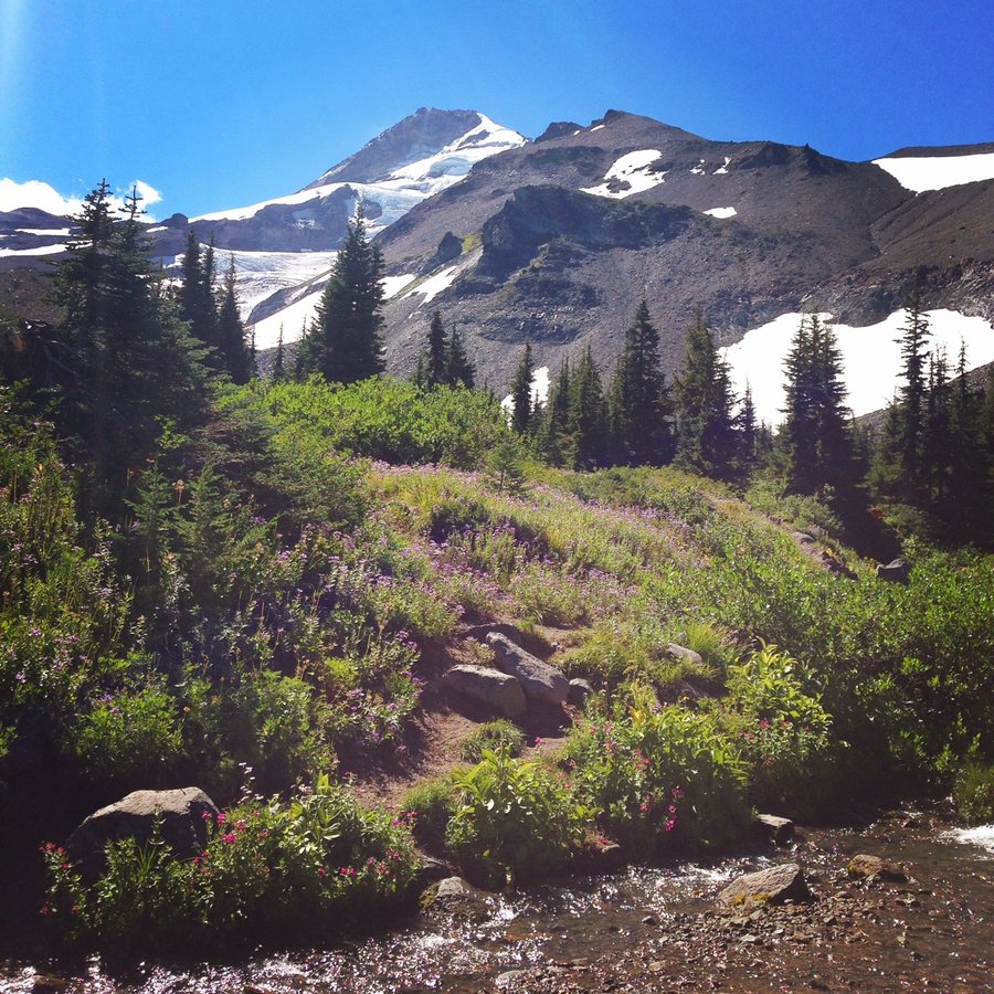 Photo from Elk Cove via Pinnacle Ridge