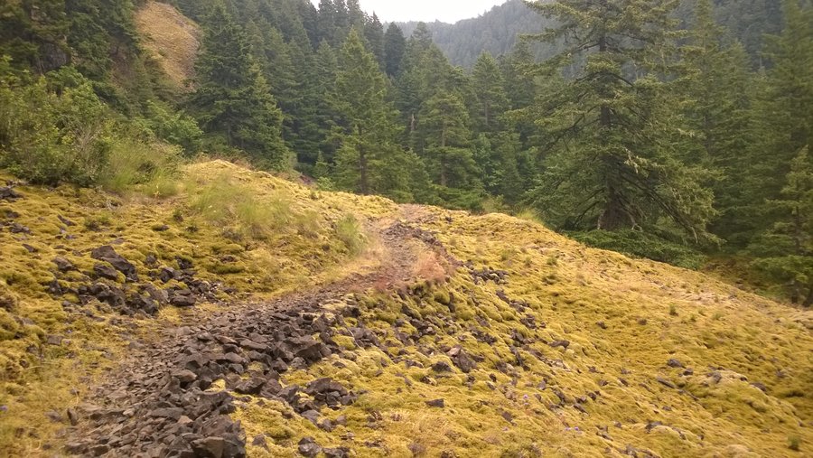Photo from Eagle-Benson Loop Hike